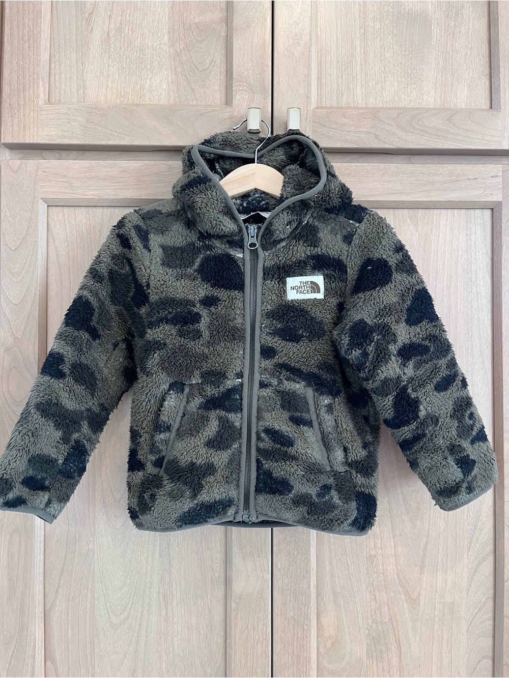 North Face Campshire Hoodie